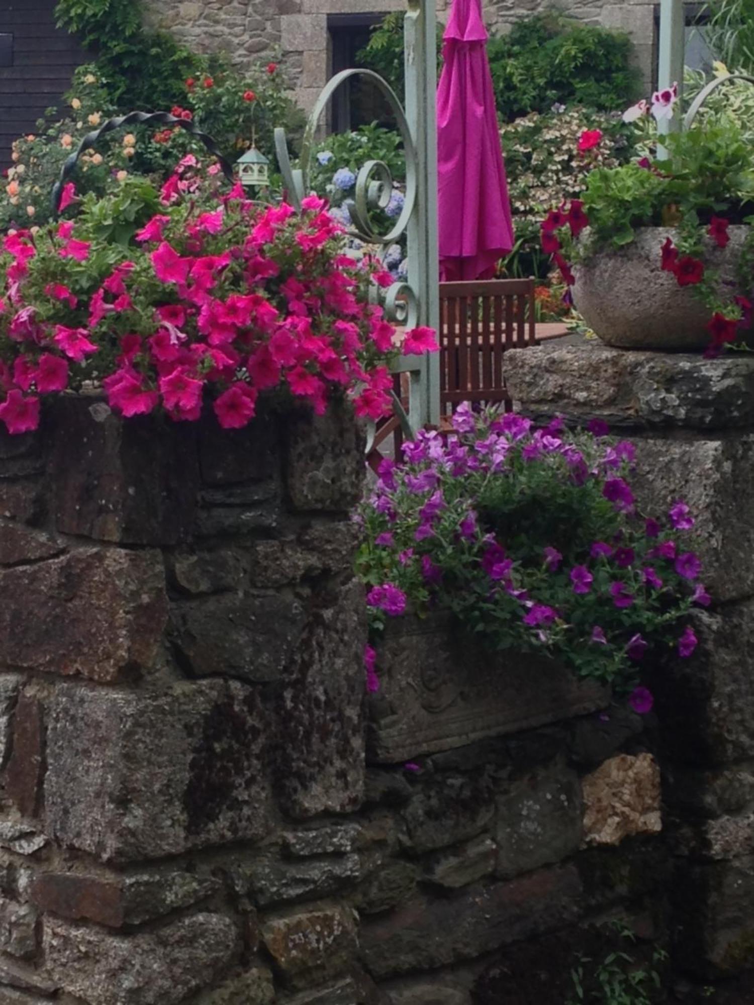 Le Petit Chateau, Matisse Noyal-Pontivy Eksteriør bilde