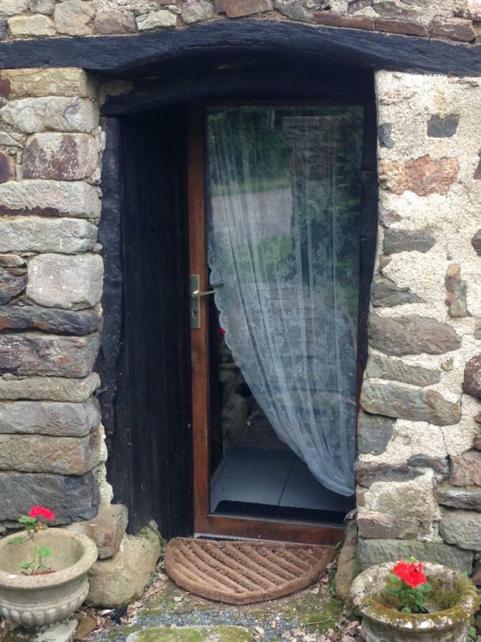 Le Petit Chateau, Matisse Noyal-Pontivy Eksteriør bilde